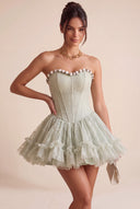 Primrose Strapless Corset Tutu Mini Dress