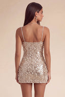 Aurora Sequin Bead Mini Dress