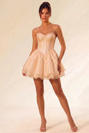 Primrose Ballet-Inspired Corset Mini Dress