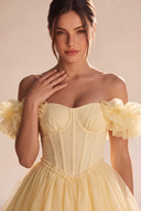 Melody Off Shoulder Ruffle Tulle Mini Dress