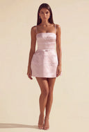 Ivy Satin Tiered Lace Mini Dress