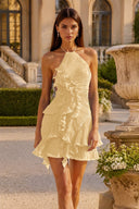Calista Halter Pleated Ruffle Mini Dress