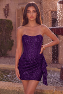 Sloan Strapless Sequin Corset Mini Dress with Ruffle