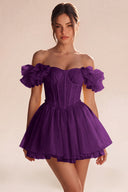 Melody Off Shoulder Ruffle Tulle Mini Dress