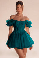 Melody Off Shoulder Ruffle Tulle Mini Dress