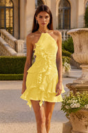 Calista Halter Pleated Ruffle Mini Dress