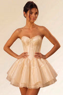 Primrose Ballet-Inspired Corset Mini Dress